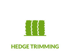 HEDGE TRIMMING